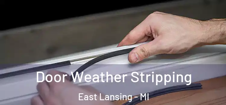 Door Weather Stripping East Lansing - MI