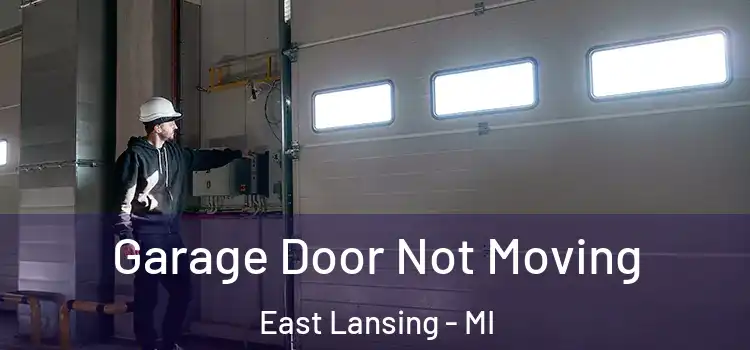  Garage Door Not Moving East Lansing - MI