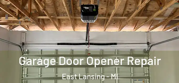 Garage Door Opener Repair East Lansing - MI