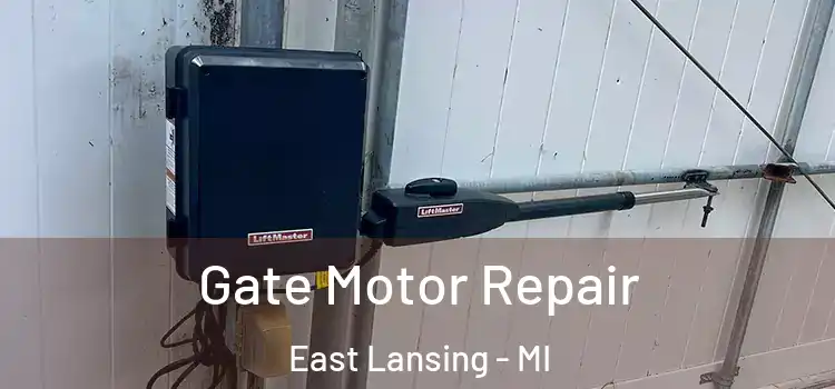 Gate Motor Repair East Lansing - MI