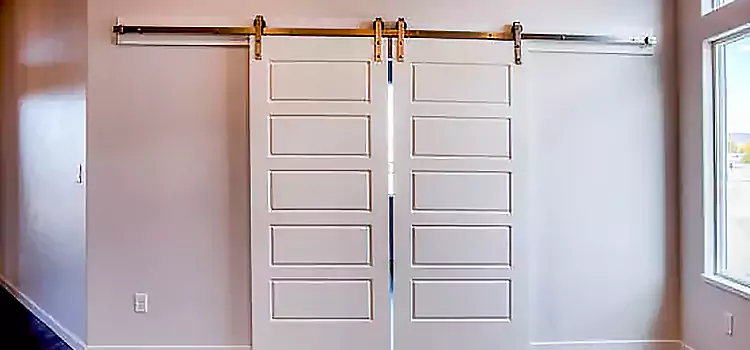 Glass Barn Door with Installation Hardware Kit East Lansing