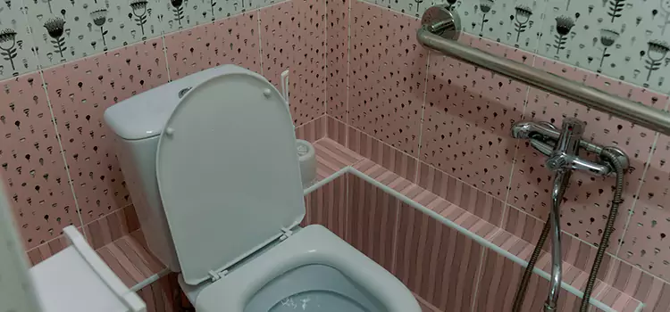 Meeting Diverse Needs With Accessible Restroom Solutions in East Lansing, MI